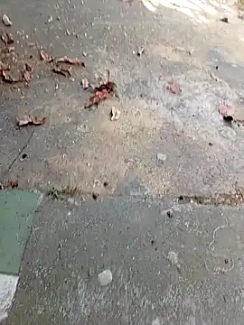 aquel boy xx online show from October 27, 8:43 pm