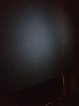 948197 online show from November 12, 4:11 pm