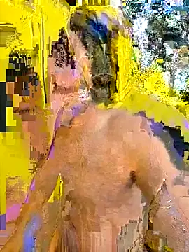 BindaasBong online show from February 28, 7:30 am