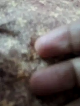 Snapshot of BeautyGirl_sara chatting on February 14, 9:42 am BeautyGirl sara online show from February 14, 9:42 am