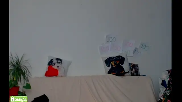 ZeinMiracles online show from February 17, 8:39 pm