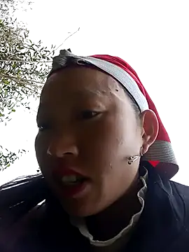 tcm-cute online show from November 12, 7:34 am