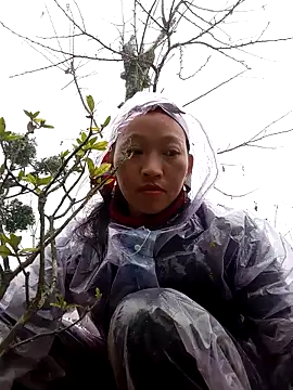 tcm-cute online show from November 3, 8:07 am