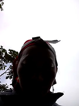 tcm-cute online show from November 6, 2:37 am