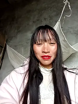 tcm-cute online show from November 17, 5:22 am