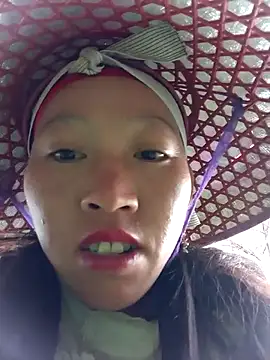 tcm-cute online show from November 14, 1:09 am