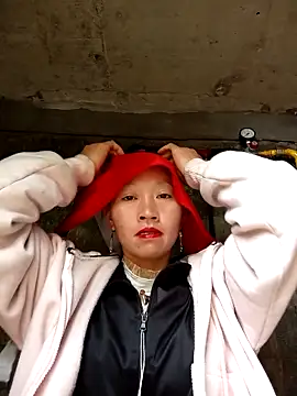 tcm-cute online show from November 11, 4:51 am