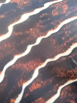 Idhika Handoo online show from February 13, 11:54 am