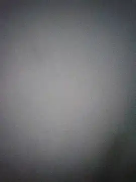 Perropa online show from March 27, 3:37 am