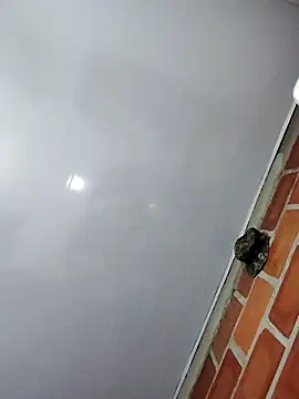 Perropa online show from February 27, 1:17 am