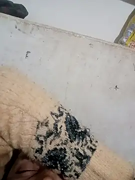 Payal950 online show from December 3, 3:44 pm