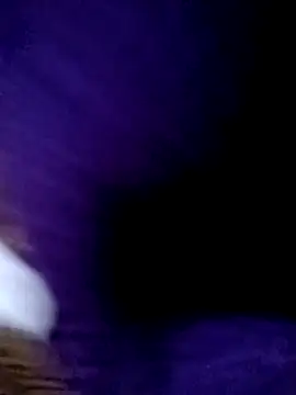 Payal950 online show from February 13, 4:18 pm