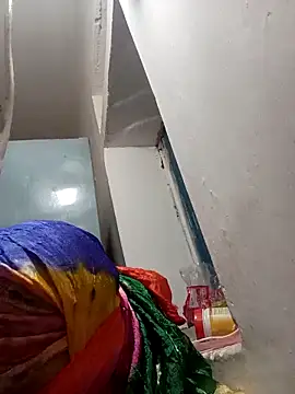 Payal950 online show from November 25, 11:59 pm