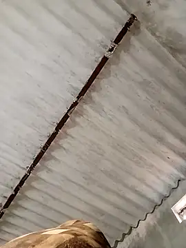 Payal950 online show from November 7, 11:15 am