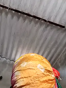 Payal950 online show from November 4, 8:29 am