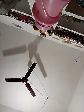 Payal950 online show from November 15, 12:03 am