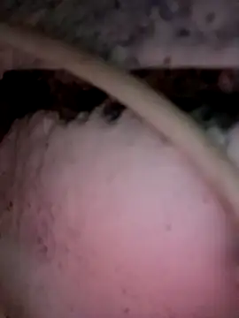 Payal950 online show from December 3, 12:01 am