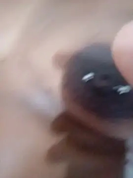 nessinha12 online show from November 10, 10:53 am