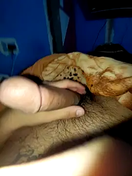 Exotic19cm online show from December 18, 6:29 am