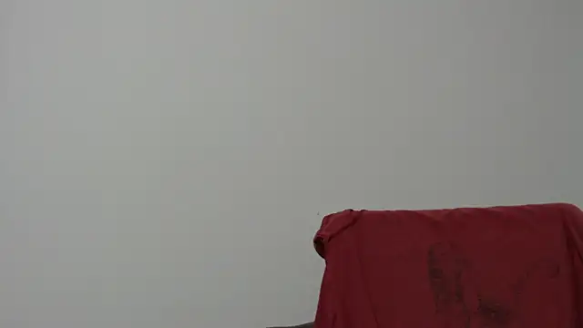 Rocky Muscle online show from February 5, 4:52 am