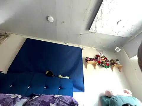 amanne misa online show from January 15, 3:37 pm