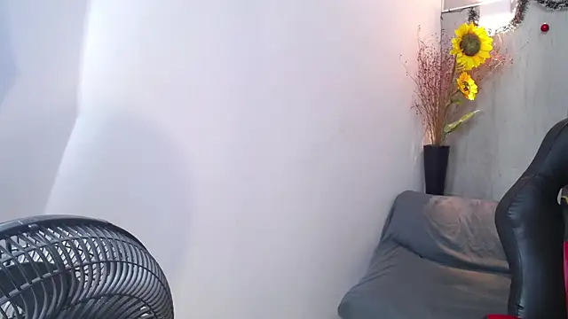 honeymoon 12 online show from January 17, 7:23 am