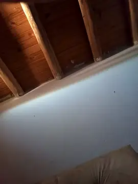 Rodriexequiel online show from November 15, 2:21 pm