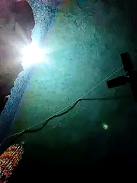 Nehaja33e online show from November 25, 11:59 pm