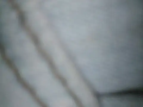 Ricotta1 online show from February 9, 10:57 am