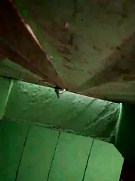 Anjal-123 online show from October 27, 11:00 am