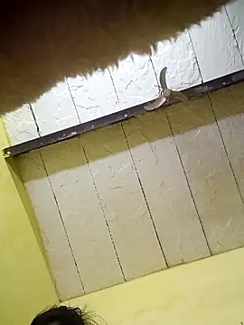 Seema guptaji online show from November 15, 9:19 pm