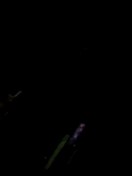 TSPRAJ0 online show from November 15, 5:17 pm