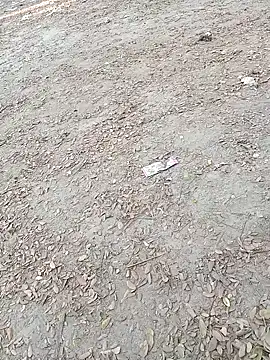 Dasdhon online show from November 18, 10:18 am