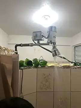 YadielPublic online show from February 27, 12:55 am