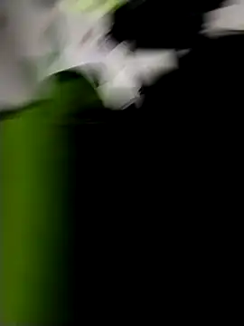danigarci2307 online show from October 21, 10:31 pm