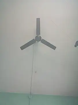 ShinuRoy online show from January 12, 2:07 am