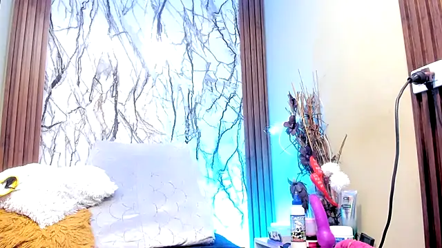 teilor dreamse online show from October 26, 3:29 am