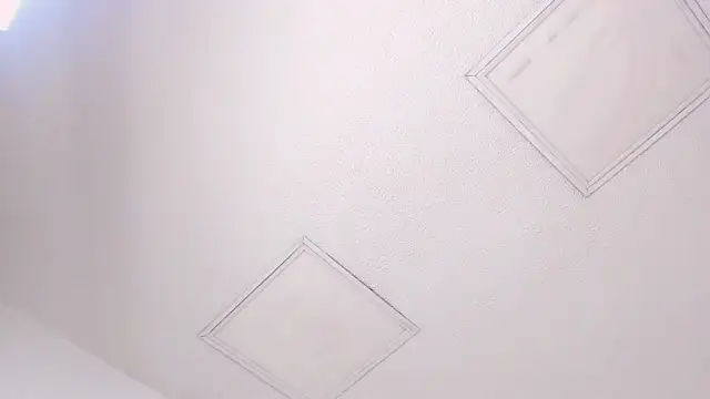 Tyler durten online show from February 3, 3:15 am