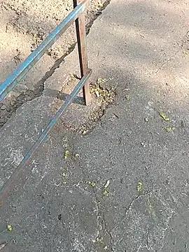 Mr xxx007xh online show from March 24, 9:53 am