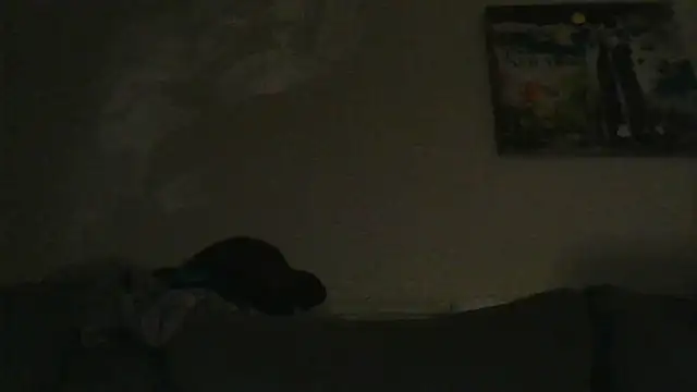 Snapshot of branletteur chatting on October 6, 7:53 am branletteur online show from October 6, 7:53 am