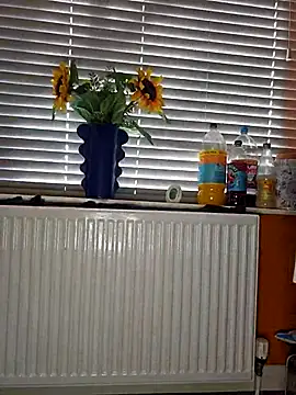 Filthymaddymilfy25 online show from December 3, 11:09 am