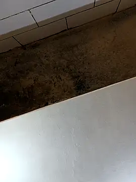 xyz-indian online show from October 28, 2:49 pm