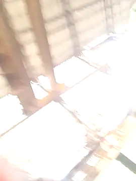 xyz-indian online show from October 11, 3:51 am