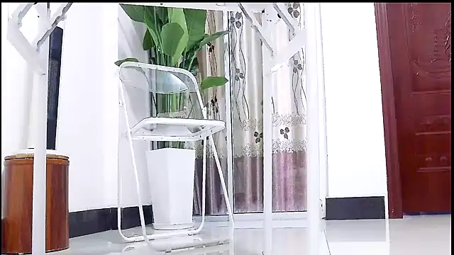 Tianxin6 online show from December 17, 3:33 am