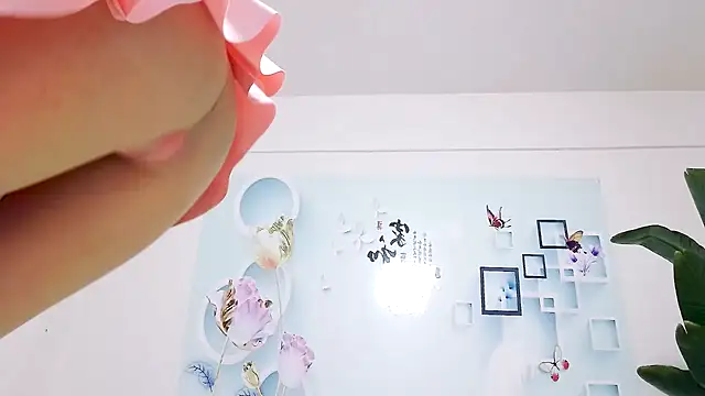 Tianxin6 online show from December 5, 12:32 am