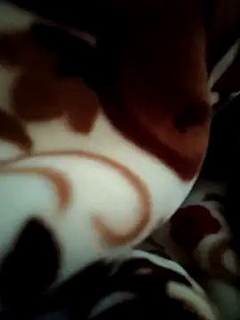 Hot pooja55 online show from February 11, 6:57 am