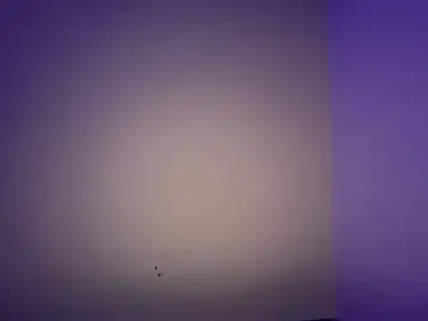 LustyDuoSecrets online show from November 11, 6:25 pm