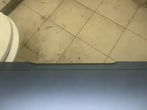 LustyDuoSecrets online show from November 3, 4:32 pm