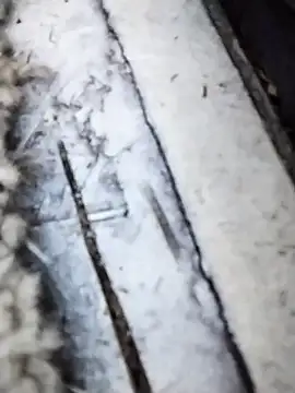 Jeremycle online show from October 15, 5:43 pm