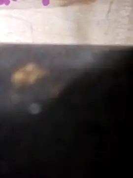 Jeremycle online show from October 25, 11:27 pm